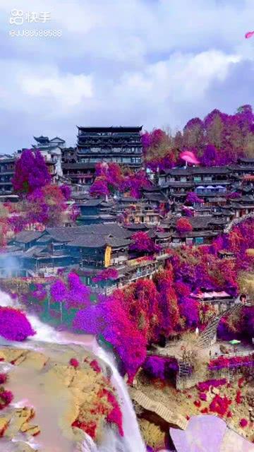 探索面试时应该怎样打扮知识星球，高端科普平台