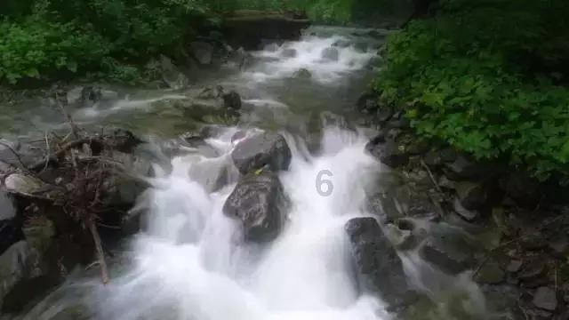 探讨问题,尽在谁知道这是什么植物?蜗牛问答平台